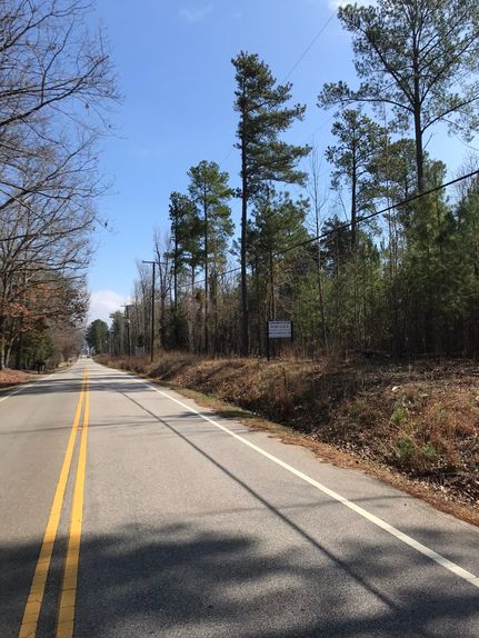 Timberland Property in Lexington County, South Carolina
