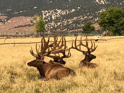 Land in Sanpete County, Utah