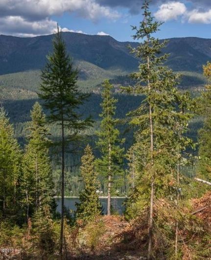 Undeveloped Land in Lake County, Montana