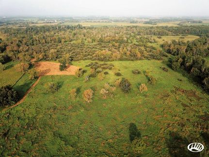 Hunting Property in Todd County, Minnesota