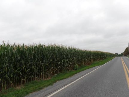 Farm and Ranch in Lebanon County, Pennsylvania