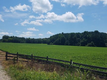 Undeveloped Land in Charlotte County, Virginia