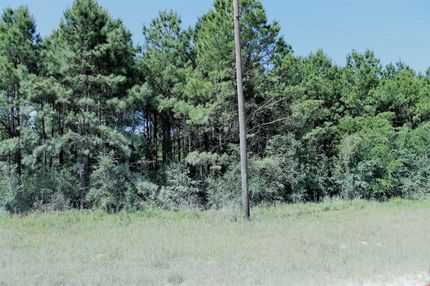 Timberland Property in Walker County, Texas