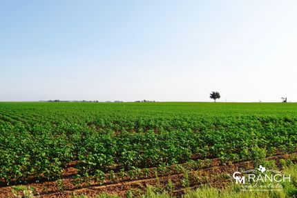 Undeveloped Land in Midland County, Texas