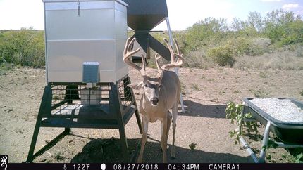 Land in Duval County, Texas