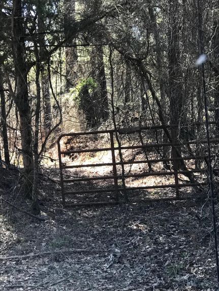 Land in Elbert County, Georgia