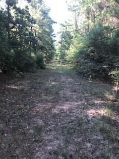 Farm and Ranch in Grimes County, Texas