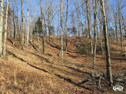 Land in Ohio County, Kentucky