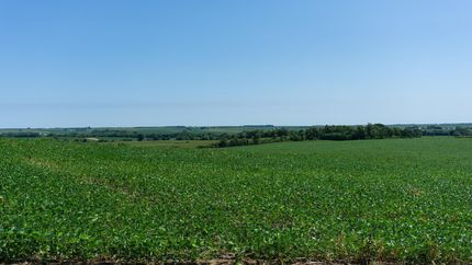 Farm and Ranch in Saunders County, Nebraska