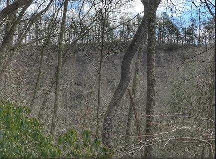 Timberland Property in Powell County, Kentucky