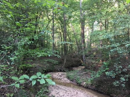 Hunting Property in Spartanburg County, South Carolina