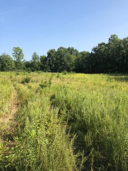 Recreational Property in Scotland County, Missouri