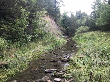 Land in Pawnee County, Nebraska