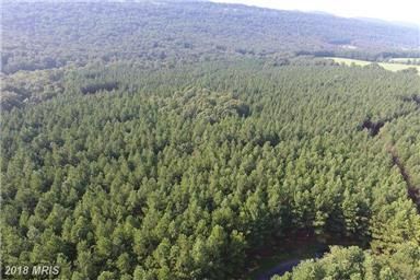 Timberland Property in Hardy County, West Virginia