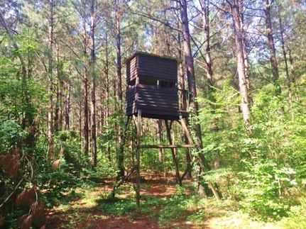 Land in Pike County, Mississippi