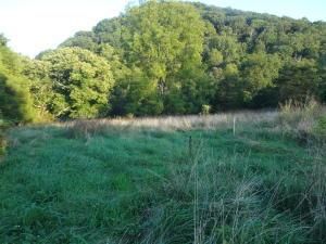 Undeveloped Land in Augusta County, Virginia