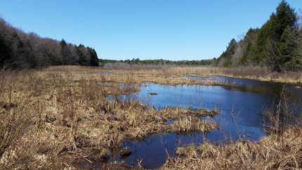 Undeveloped Land in Oswego County, New York