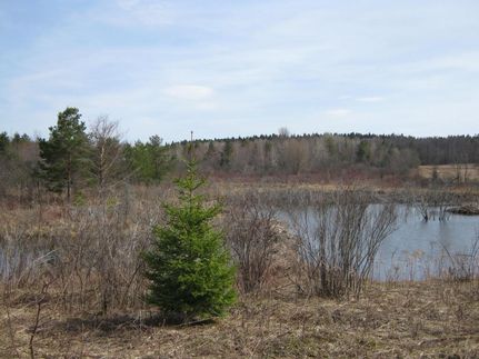 Farm and Ranch in Cayuga County, New York