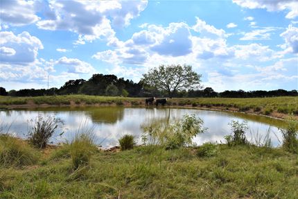 Undeveloped Land in Burleson County, Texas