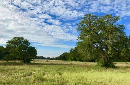 Farm and Ranch in Milam County, Texas