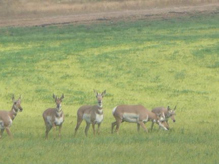 Undeveloped Land in Lake County, Oregon