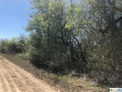 Recreational Property in Gonzales County, Texas
