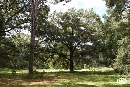 Land in Alachua County, Florida