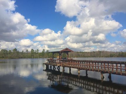 Timberland Property in Kershaw County, South Carolina