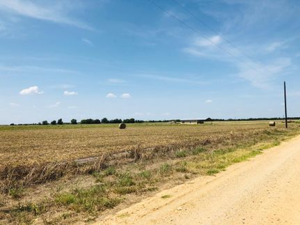 Undeveloped Land in Milam County, Texas