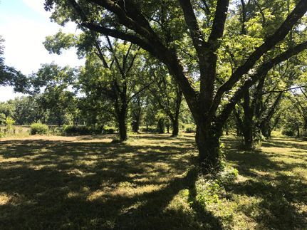 Land in Lamar County, Georgia