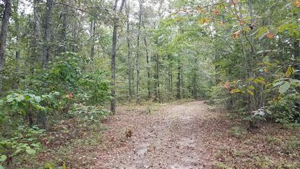 Farm and Ranch in Cleburne County, Alabama