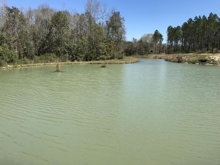 Timberland Property in Baldwin County, Alabama