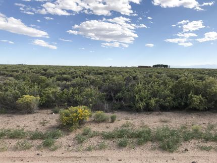 Farm and Ranch in Saguache County, Colorado