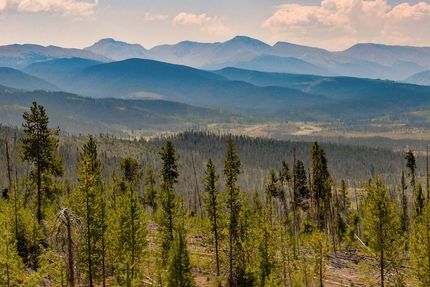 Undeveloped Land in Grand County, Colorado