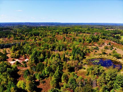 Farm and Ranch in Osceola County, Michigan
