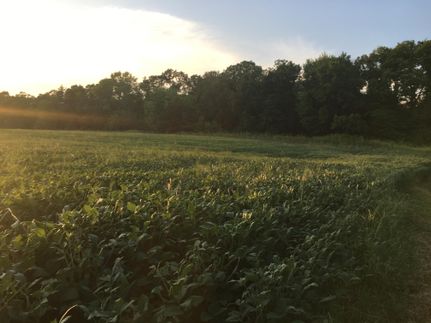 Farm and Ranch in Bond County, Illinois