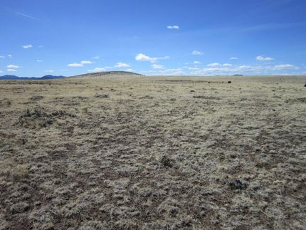 Farm and Ranch in Apache County, Arizona