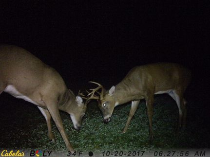 Farm and Ranch in Ingham County, Michigan