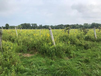 Hunting Property in Chautauqua County, New York