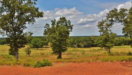 Undeveloped Land in Freestone County, Texas