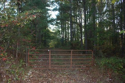 Timberland Property in Prentiss County, Mississippi