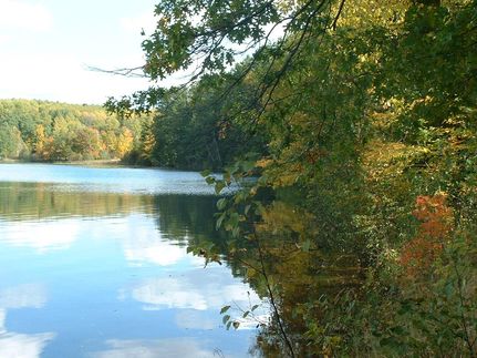 Undeveloped Land in Burnett County, Wisconsin