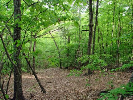 Recreational Property in Wilkes County, North Carolina