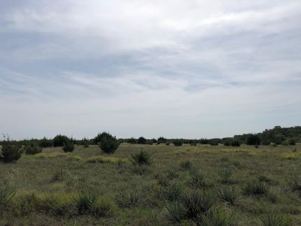 Timberland Property in Hamilton County, Texas