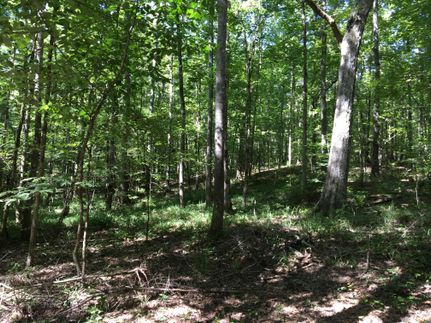 Farm and Ranch in Chambers County, Alabama