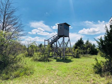 Undeveloped Land in Milam County, Texas