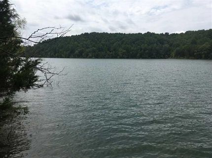 Timberland Property in Moore County, Tennessee