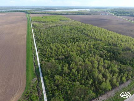 Undeveloped Land in Schuyler County, Illinois
