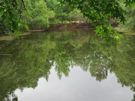 Land in Colleton County, South Carolina