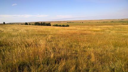 Farm and Ranch in Meade County, South Dakota